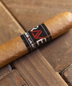 Alternative view of Dissident Rave Robusto Round (5x50)