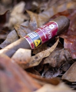 Alternative view of Cordoba & Morales Nica Reaper Toro (6x52)