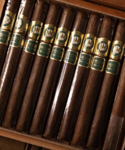 Alternative view of Cavalier Genève Green Jacket 2026 Churchill (7x47)