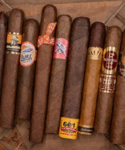 OGT Perfect Fall Collection 10 Pack Sampler + Cutter