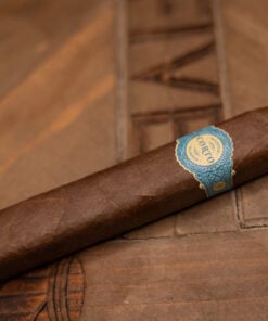 Warped Corto X54